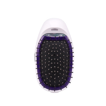 Portable Electric Ionic Hairbrush