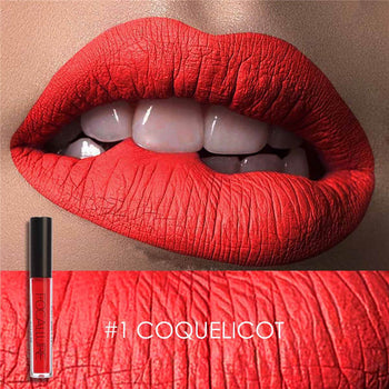 Waterproof Matte Liquid Lipstick Moisturizer